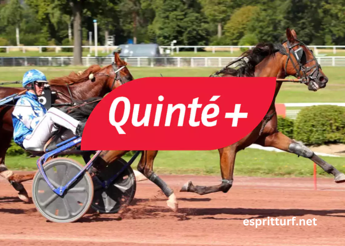 Meilleur Pronostic Pmu Du Jour