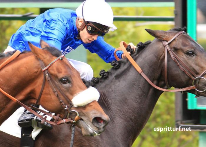 Gagnant Turf Vip