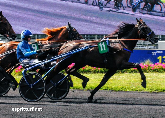 Resultat Des Courses Aujourd'hui