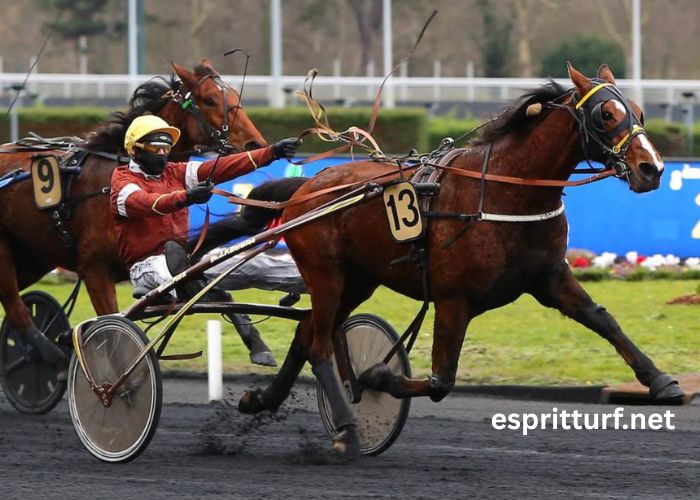 Turf Magique 3 Bases (3)