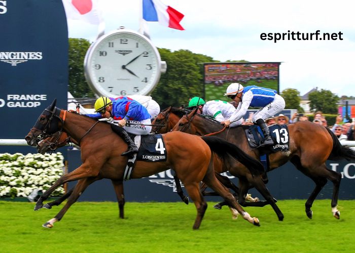 Geni Du Turf Vip (3)